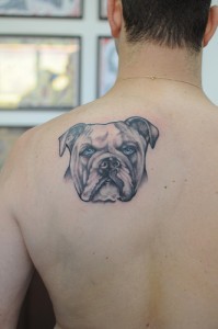 American Bulldog Tattoos