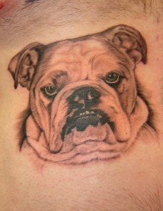 Bulldog Tattoo
