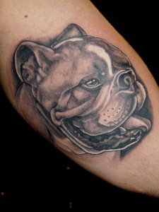 Bulldogs Tattoo