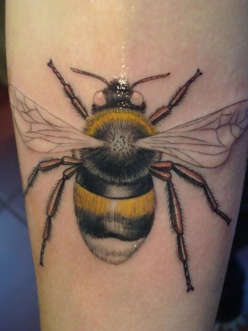 Bumble Bee Tattoos Designs, Ideas and Meaning | Tattoos For You