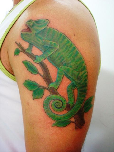 Chameleon Tattoo Design.