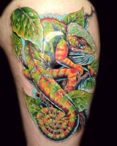 Chameleon Tattoo Images