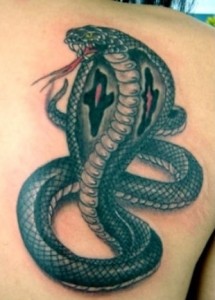 Cobra Tattoo Designs