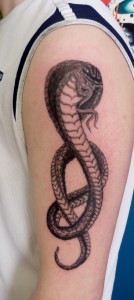 Cobra Tattoo on Arm