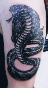 Cobra Tattoos Pictures