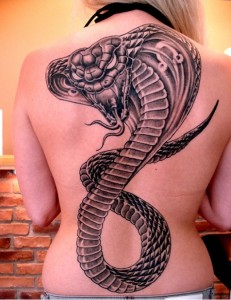 Cobra Tattoos for Girls