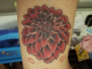 Dahlia Tattoo Pictures