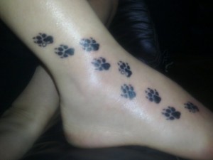 Dog Paw Print Tattoo Images