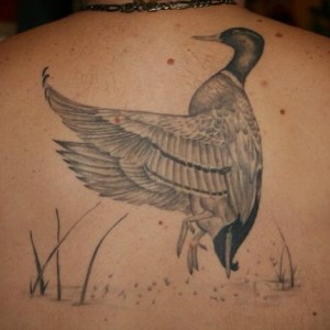Duck Tattoos for Men