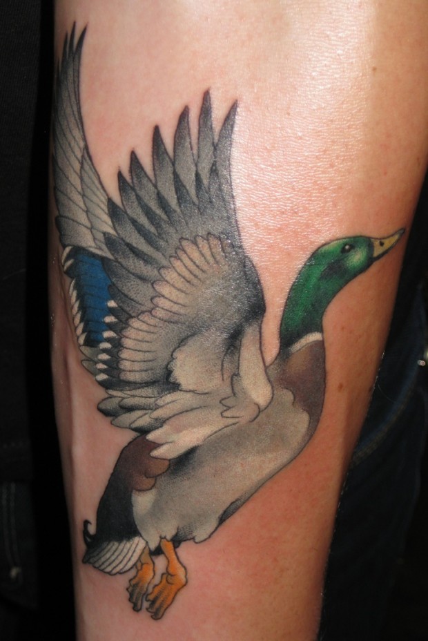 Duck Tattoos Designs, Ideas and Meaning | Tattoos For You