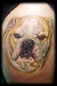 English Bulldog Tattoo