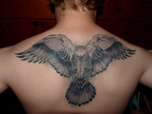 Falcon Tattoo Back