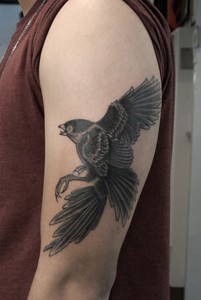 Falcon Tattoo Designs