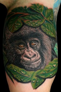 Gorilla Tattoo Images