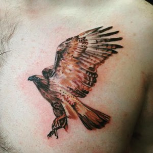 Hawk Tattoo