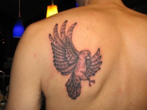 Hawk Tattoo Back