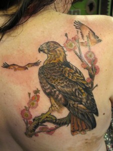 Hawk Tattoo Ideas
