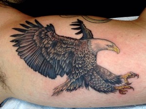 Hawks Tattoo