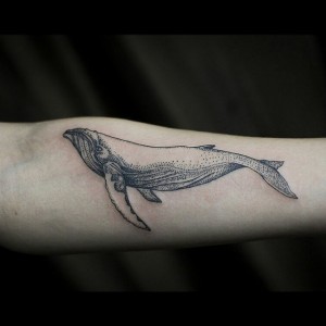 Humpback Whale Tattoo