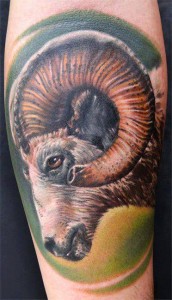 Images of Goat Tattoo