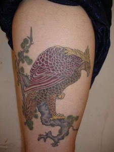 Japanese Hawk Tattoo