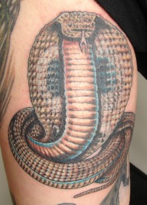King Cobra Tattoo