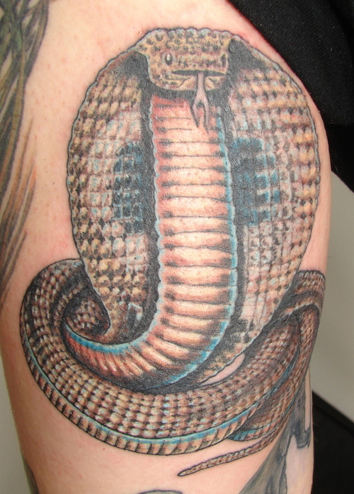 Cobra Tattoos Designs, Ideas and Meaning | Tattoos For You