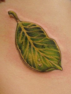 Leaf Tattoo Images