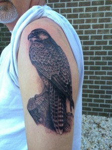 Peregrine Falcon Tattoo