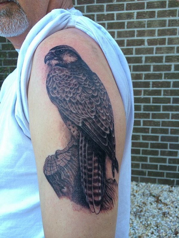 Falcon Tattoos Designs, Ideas and Meaning | Tattoos For You