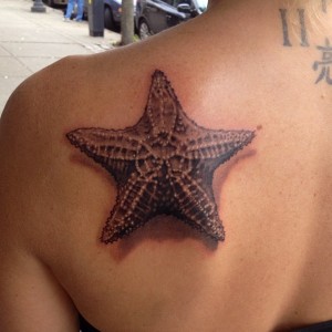 Starfish Tattoo Images