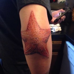 Starfish Tattoo on Elbow