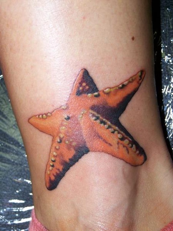 Amazon.com : Large 'Starfish' Temporary Tattoo (TO00017907) : Beauty &  Personal Care