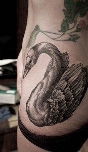 Swan Tattoo Designs