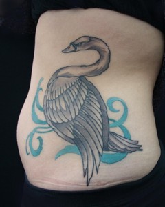Swan Tattoo Pictures