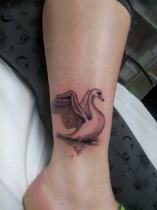 Swan Tattoos Images