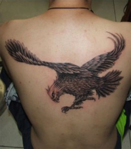 Tattoo Hawk
