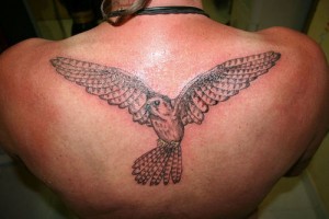 Tribal Falcon Tattoo