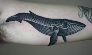 Whale Tattoo Arm