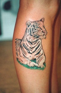 White Bengal Tiger Tattoos