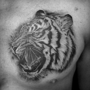 White Tiger Tattoo Chest