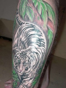 White Tiger Tattoo Images
