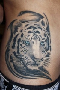 White Tiger Tattoo pictures