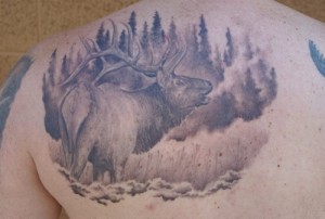 Wildlife Tattoos for Men