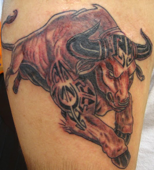 Bull Tattoos Designs, Ideas and Meaning | Tattoos For You