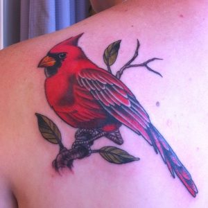 Cardinal Tattoo Designs