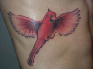 Cardinal Tattoo Images