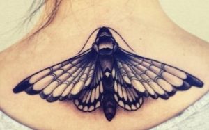 Moth Tattoo