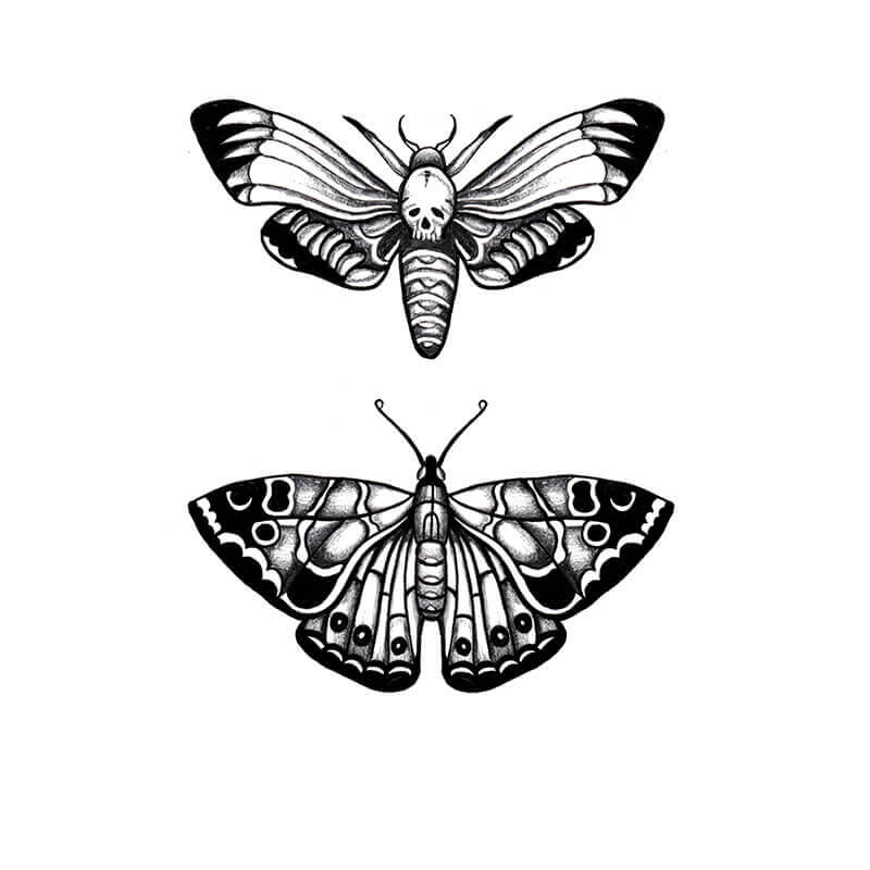 Moth Tattoo Drawing.