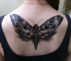 Moth Tattoos